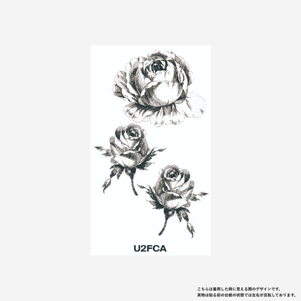 Wisper rose[ID: uor0998]